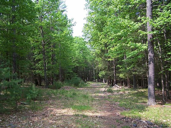 3rd image of Lot 1 White Pine