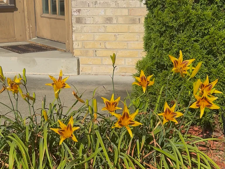 3182 Westdale Ct — Photo 21