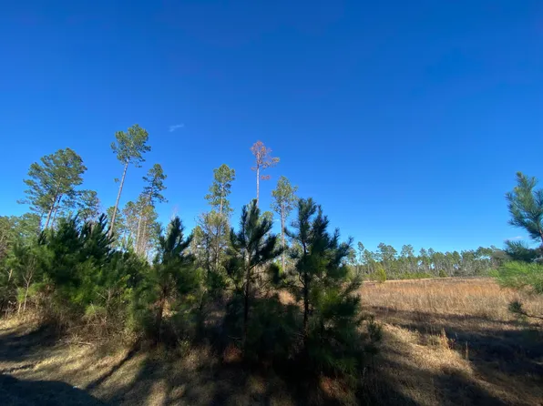 PARCEL Old Ebenezer Rd #A, Laurel Hill, FL 32567