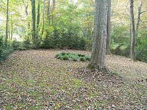 3rd image of 2339 Pine Forest Dr