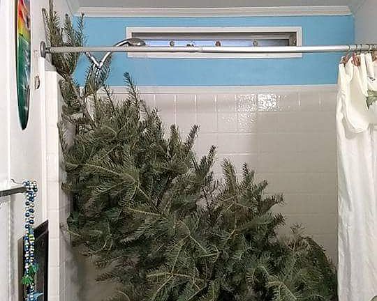 5th image of 511 Dayton Cir SE
