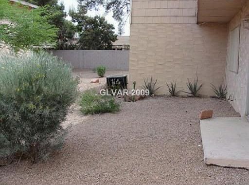 Low Maintenance Yard