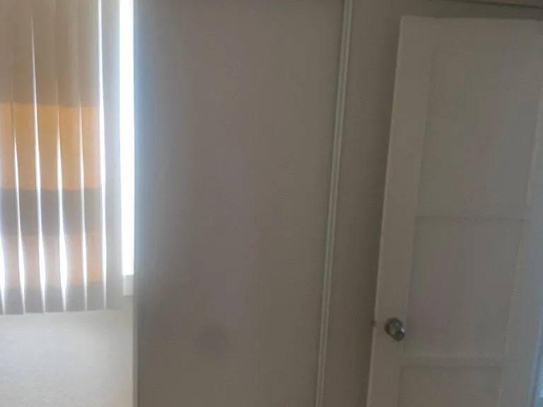 519 Flower St — Photo 5