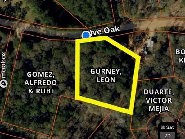Live Oak Dr, Plantersville, TX 77363