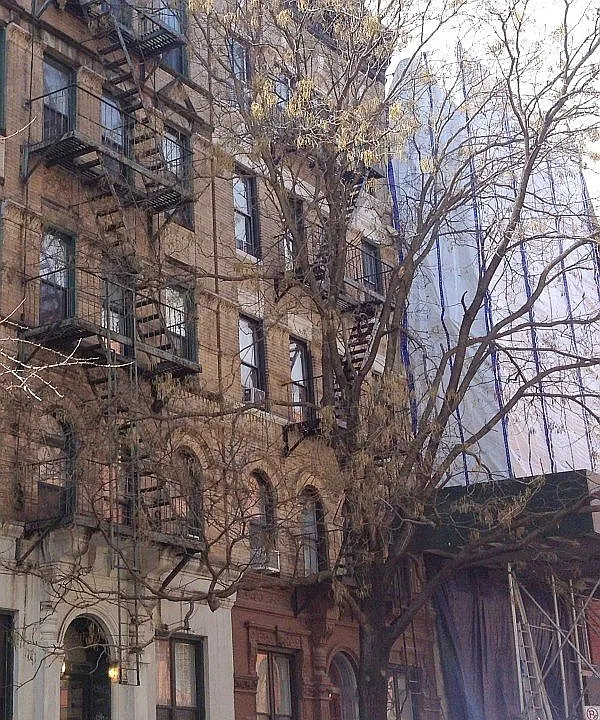 Building Photo 3