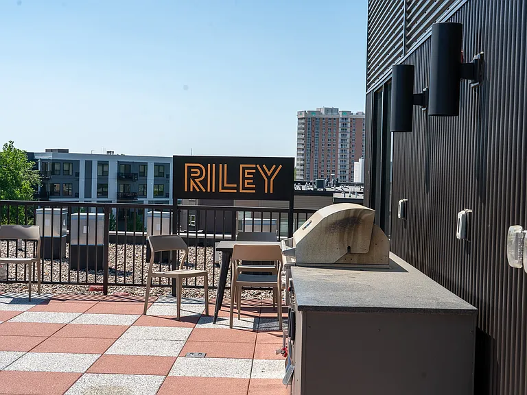Riley — Photo 2