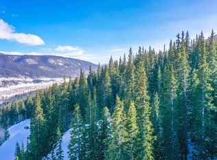 1114 Roberts Rd, Alma, CO 80420