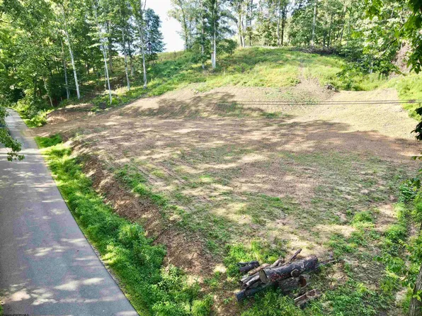 McChord Run Rd, Walkersville, WV 26447