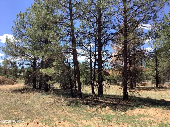 Cedar Bark Trl, Overgaard, AZ 85933