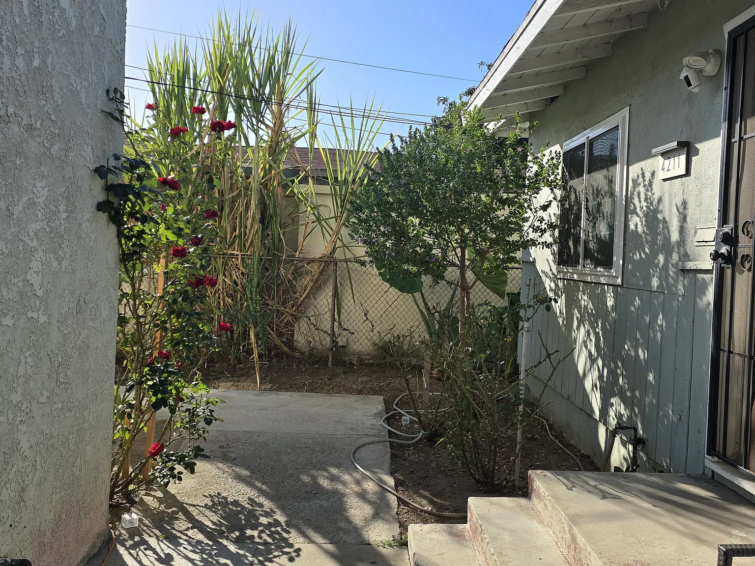 2 bed, 974 sqft, $2,000 — Photo 2