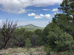 37 County Road 3168, Vernon, AZ 85940