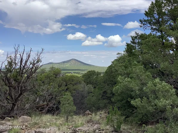 37 County Road 3168, Vernon, AZ 85940