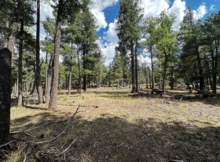 Big Dipper Rd, Cloudcroft, NM 88317