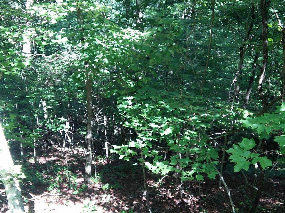 2nd image of 0 Anderson Ln