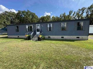 2222 Ashford Dr, Effingham, SC 29541