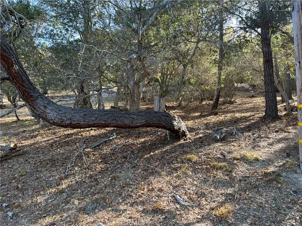 1818 Tweed Ave Lot 5, Cambria, CA 93428