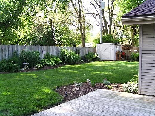 Back yard