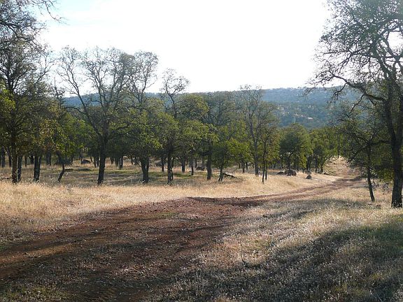 89 acres of beauty