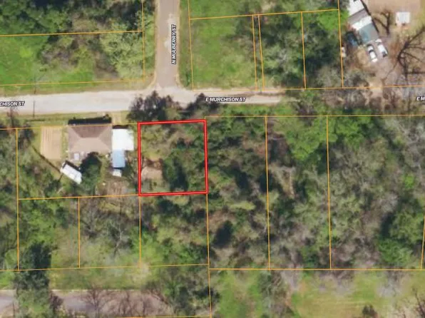 LOT 1A E Murchison St, Palestine, TX 75801