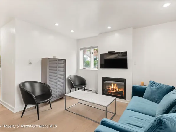 805 E Cooper Ave APT 2, Aspen, CO 81611