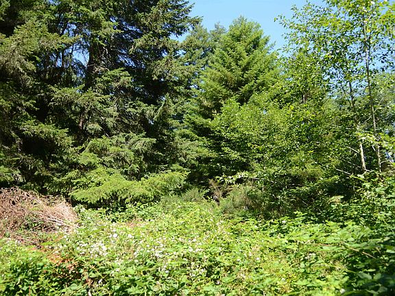 4th image of 36 Bell Hole Loop
