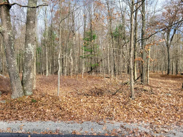 151 Moon Ridge Ln, Tafton, PA 18464