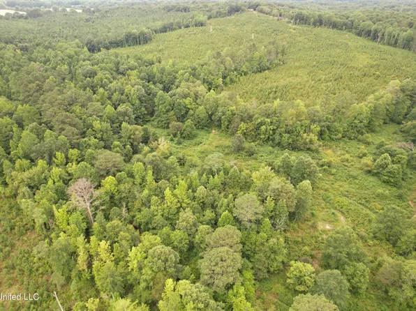 County Road 428, Paris, MS 38949