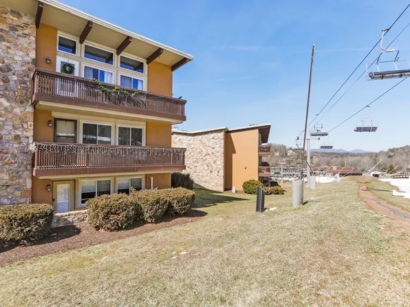 1814 Fairway Dr Unit 311, Basye, VA 22810