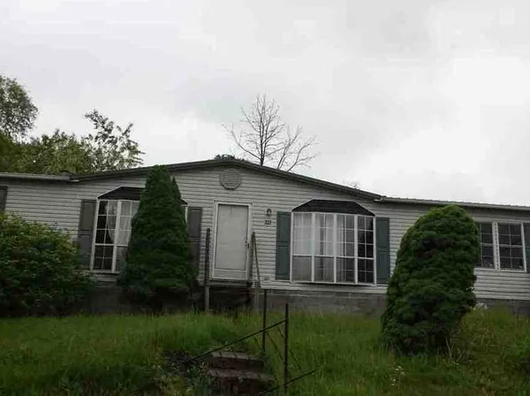 237 Beech Ave, Junior, WV 26250