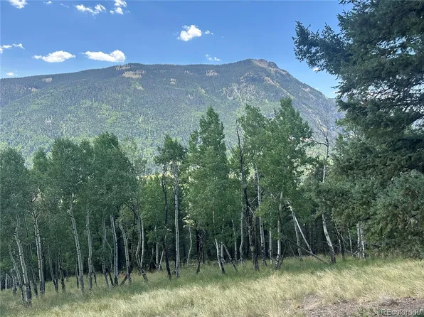 Calkins, Jasper, CO 81132