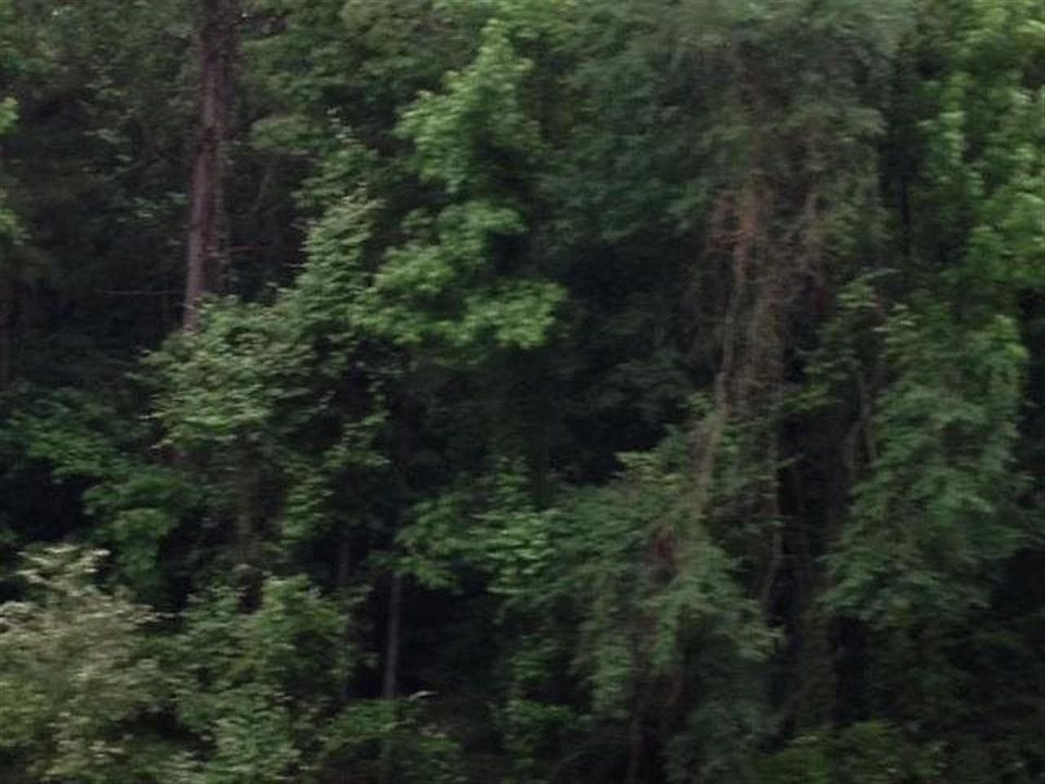 2nd image of 17829 Hamburg Rd