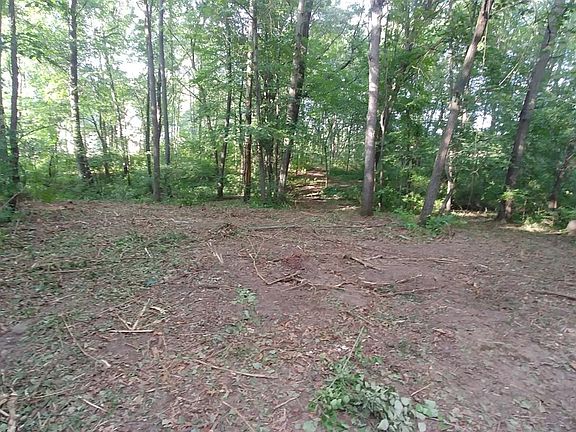 5th image of 7274 Woodhaven Dr