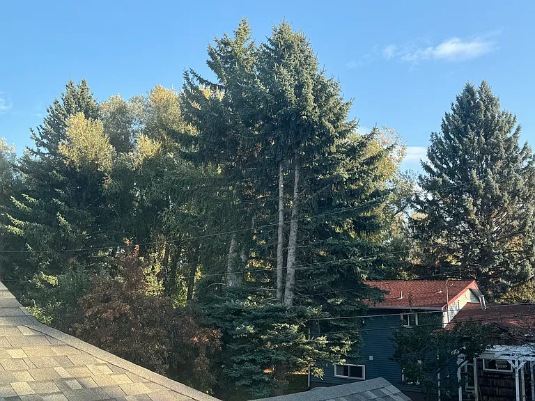 view from primary bedroom