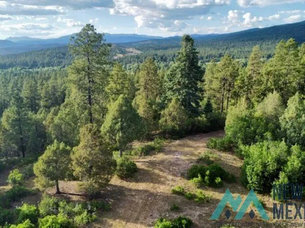 Log Ridge Trl, Chama, NM 87520