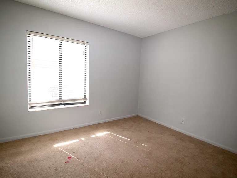 6287 Scotch Pine Ln — Photo 9