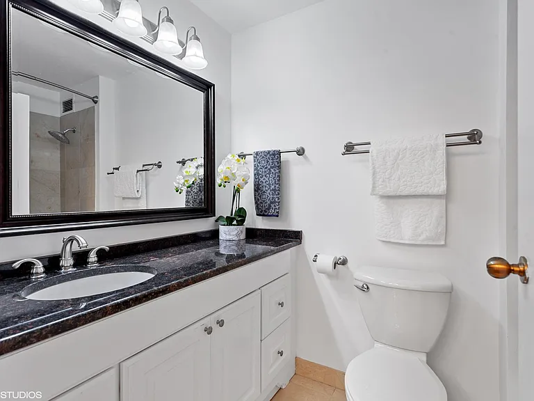 401 E Ontario St #1409 — Photo 7