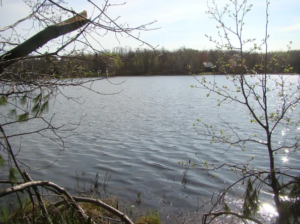 Pinehurst Trl NE, Fifty Lakes, MN 56448