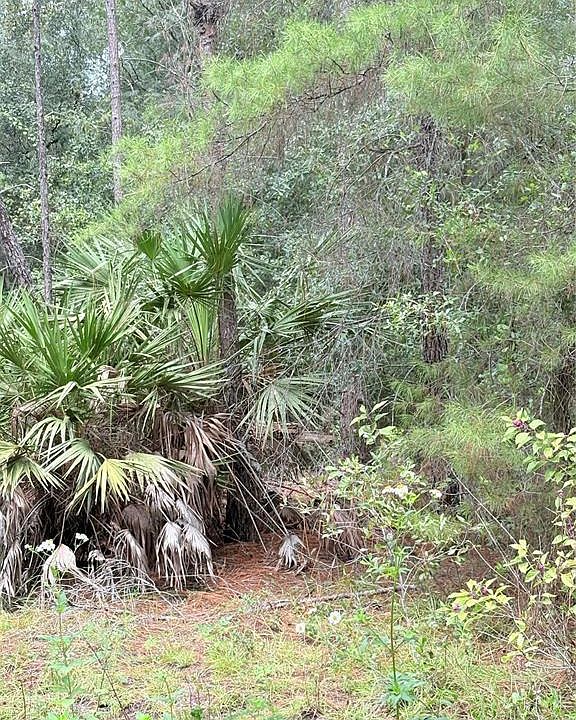 1st image of TBD NE 237TH PLACE LOT 5
