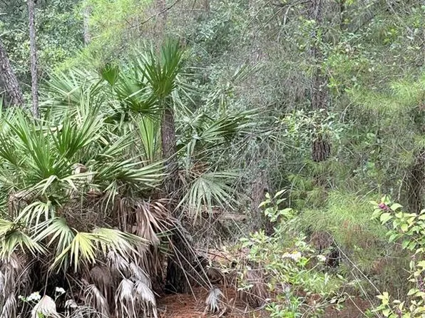 NE 237th Pl Lot 5, Fort Mc Coy, FL 32134