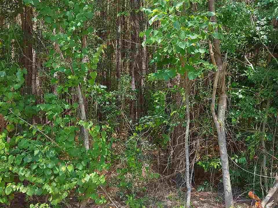 2nd image of 762 County Road 3405