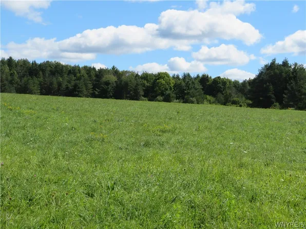 Glinderman Rd Lot 12, Caneadea, NY 14717