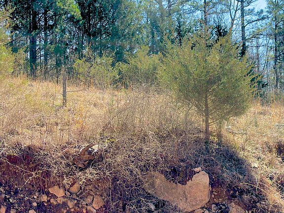 5th image of 8 Red Lamb Rd