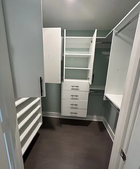 Master bedroom custom closet