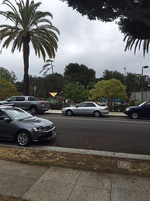 Douglas Park view