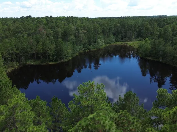 1 Highway 25, Portal, GA 30450