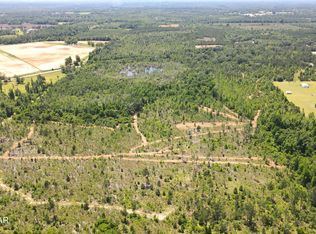 0 Bethlehem Rd, Cottondale, FL 32431