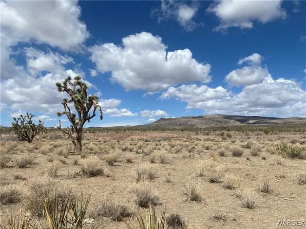327-06-017 Palm Dr, Dolan Springs, AZ 86441
