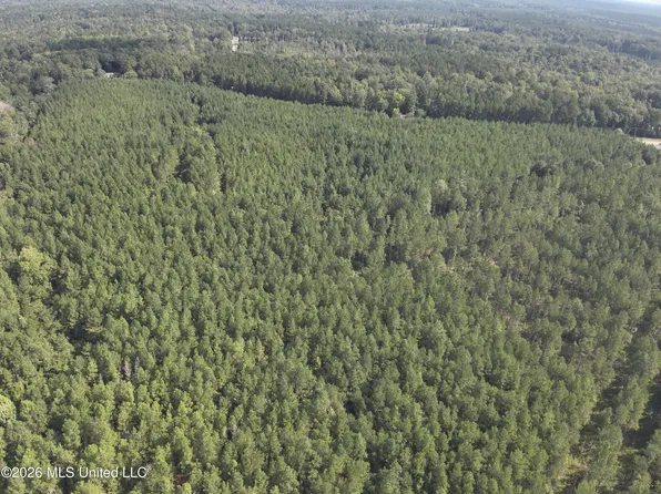 838 Highway 43, Oak Vale, MS 39656