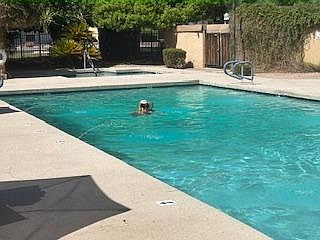 5th image of 10960 N 67th Ave Lot 133