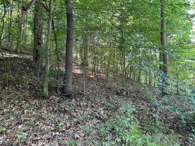 LOT 3 E Run Cir, Four States, WV, 26572